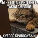 ස්ටිකර්