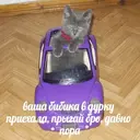 ស្ទីកเกอร์