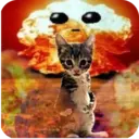 ස්ටිකර්