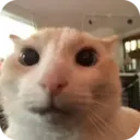 ස්ටිකර්