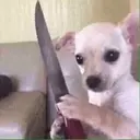 স্টিকার