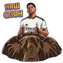 স্টিকার