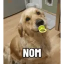 స్టికర్