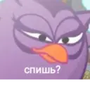 స్టికర్