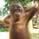 స్టికర్