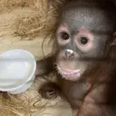 స్టికర్