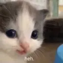 স্টিকার