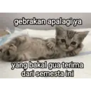 สติกเกอร์