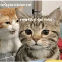 สติกเกอร์