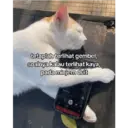 สติกเกอร์