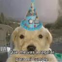 স্টিকার