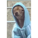 స్టికర్