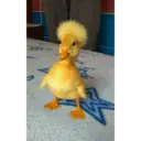 స్టికర్