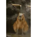 స్టికర్