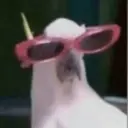 స్టికర్