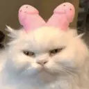 স্টিকার