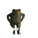 স্টিকার