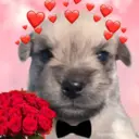 ஸ்டிக்கர்