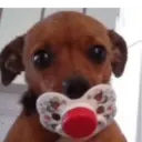 ස්ටිකර්