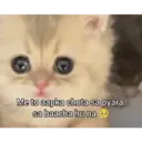 Կպչուն պիտակ