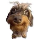 ஸ்டிக்கர்