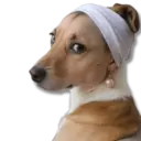 ஸ்டிக்கர்