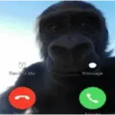 สติกเกอร์