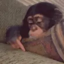 สติกเกอร์