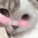 ස්ටිකර්