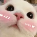 ස්ටිකර්