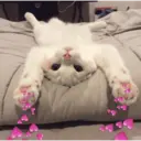 ස්ටිකර්