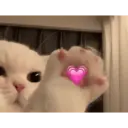 ස්ටිකර්