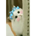 ස්ටිකර්