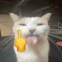 ස්ටිකර්