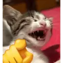 ස්ටිකර්