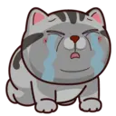 ស្ទីកเกอร์