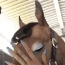 স্টিকার