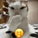 স্টিকার