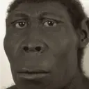 ස්ටිකර්