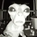 ස්ටිකර්