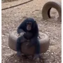 স্টিকার