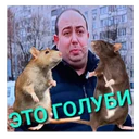 ស្ទីកเกอร์