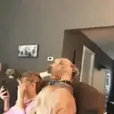 สติกเกอร์