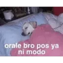 স্টিকার