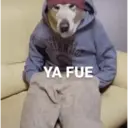 স্টিকার