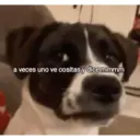 স্টিকার