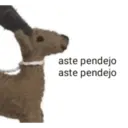 স্টিকার