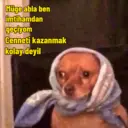 স্টিকার