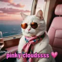 স্টিকার