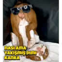 স্টিকার